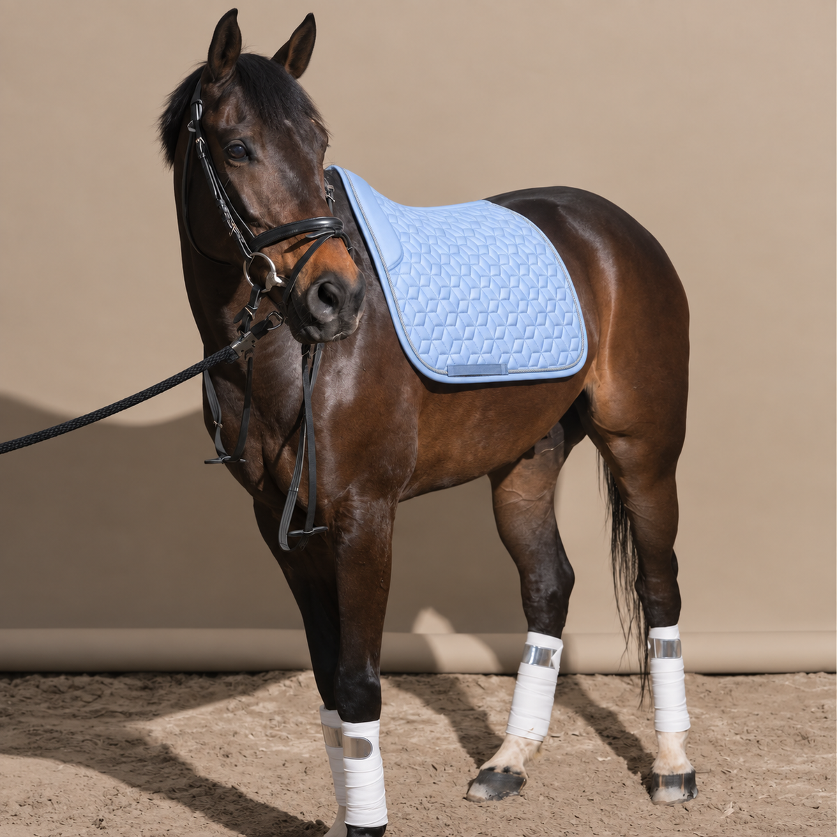 Light Blue Quilted All Purpose Saddle Pad